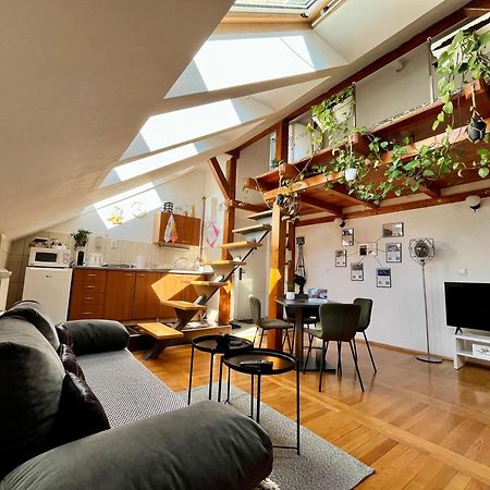 Captain Misha'S Place Belgrade Luaran gambar