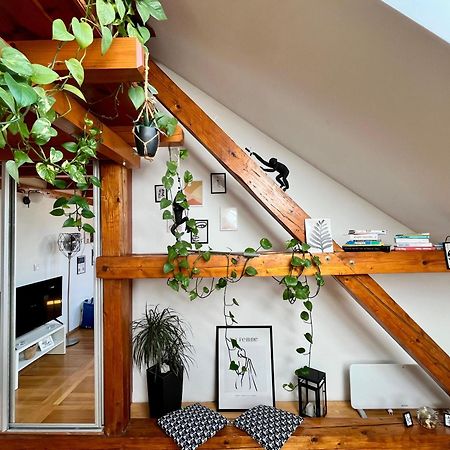 Captain Misha'S Place Belgrade Luaran gambar