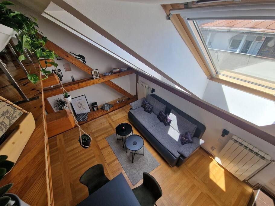 Captain Misha'S Place Belgrade Luaran gambar