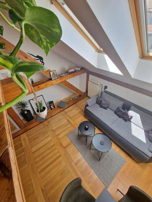 Captain Misha'S Place Belgrade Luaran gambar
