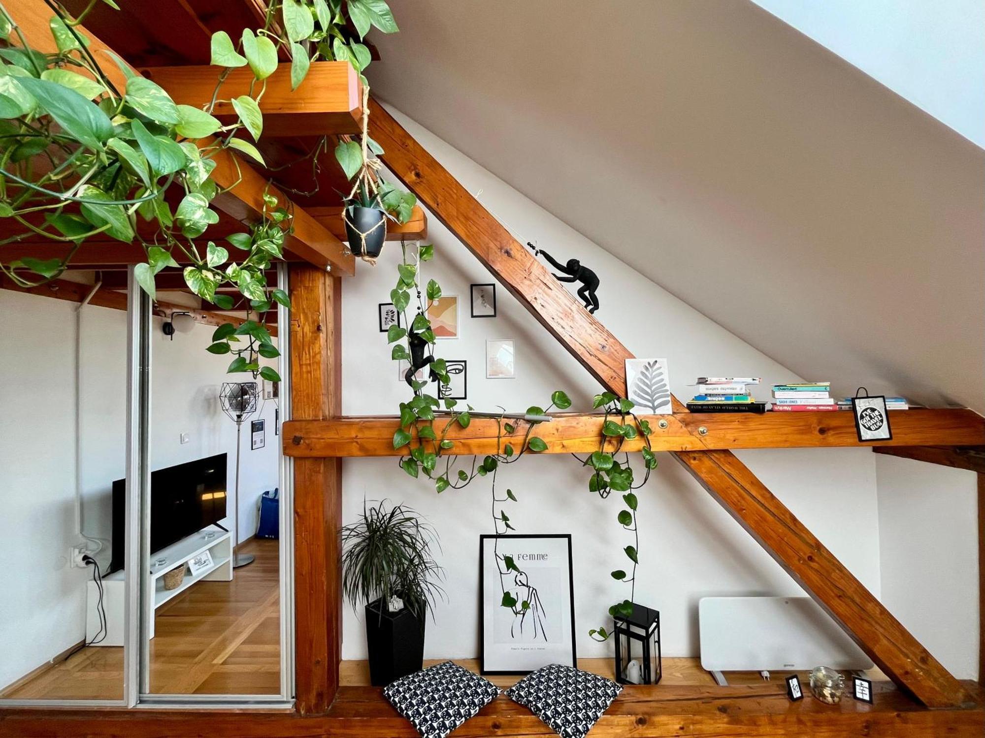 Captain Misha'S Place Belgrade Luaran gambar